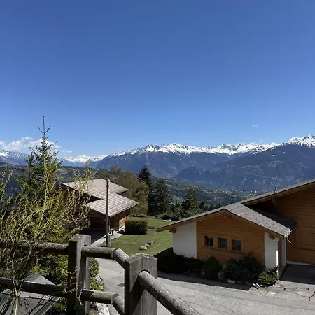 Domaine Des Alpes 1 Au Centre D Daire Anzère